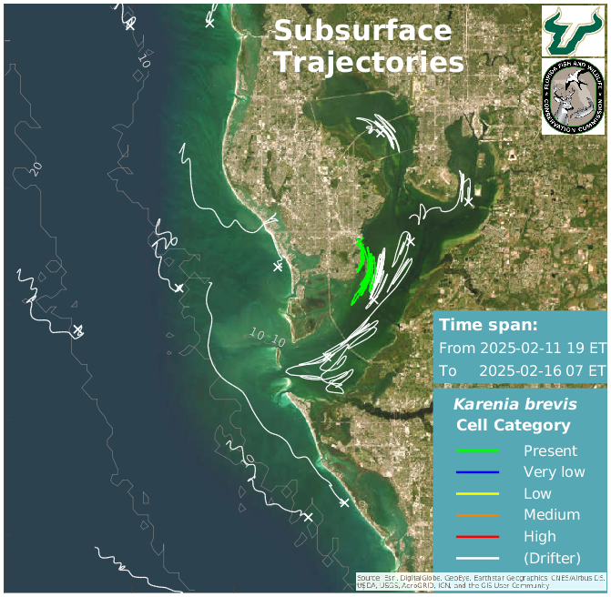 Tampa Bay Region Lower Water Column HAB Trajectories