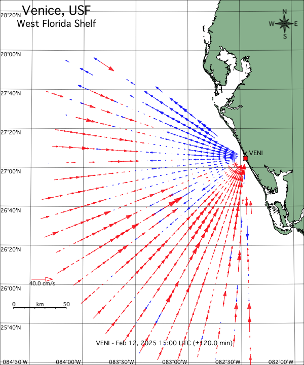 Codar Venice Radial