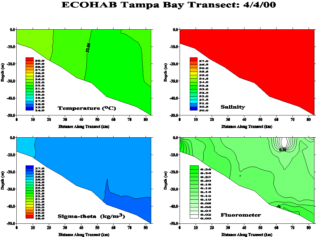 Tampa Transect