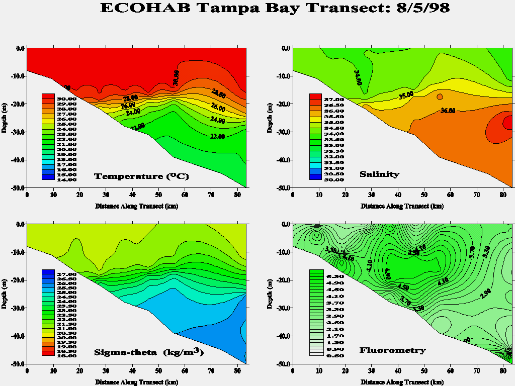 Tampa Transect