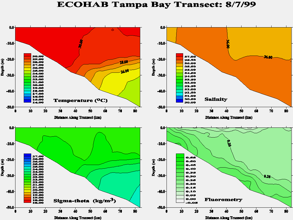 Tampa Transect