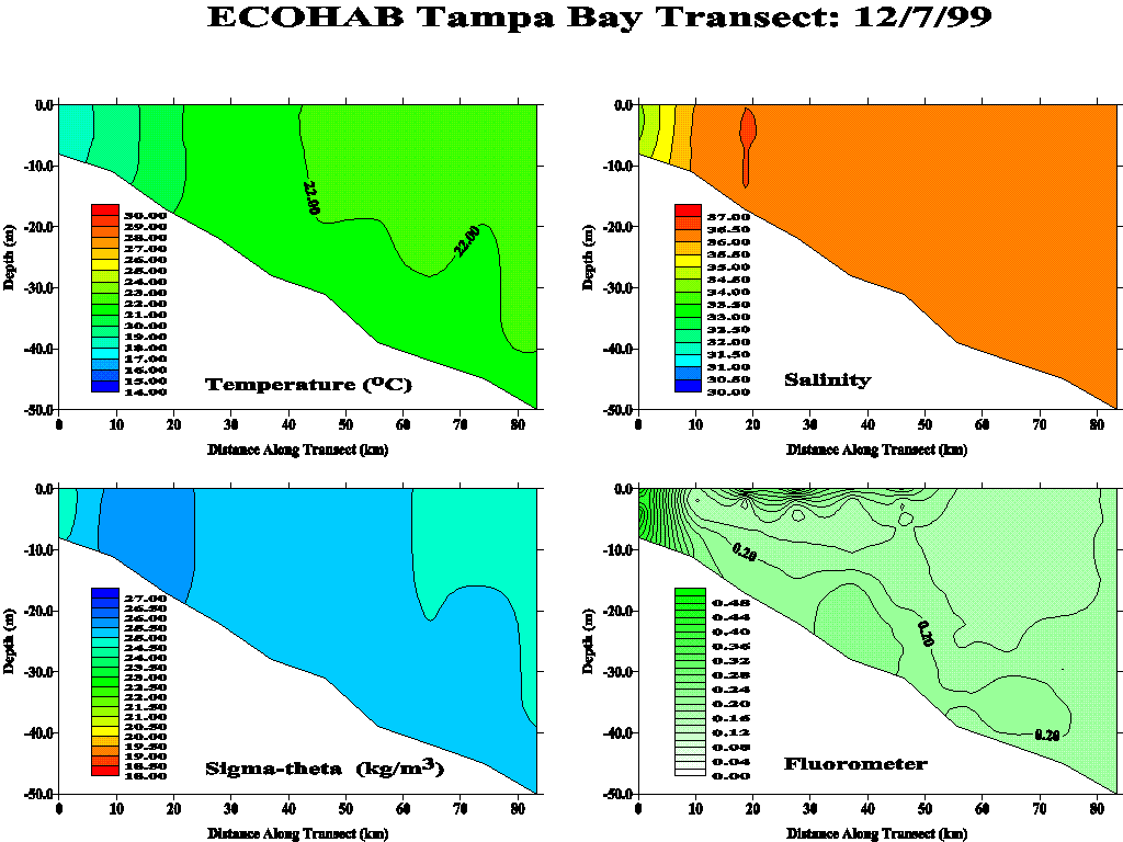 Tampa Transect