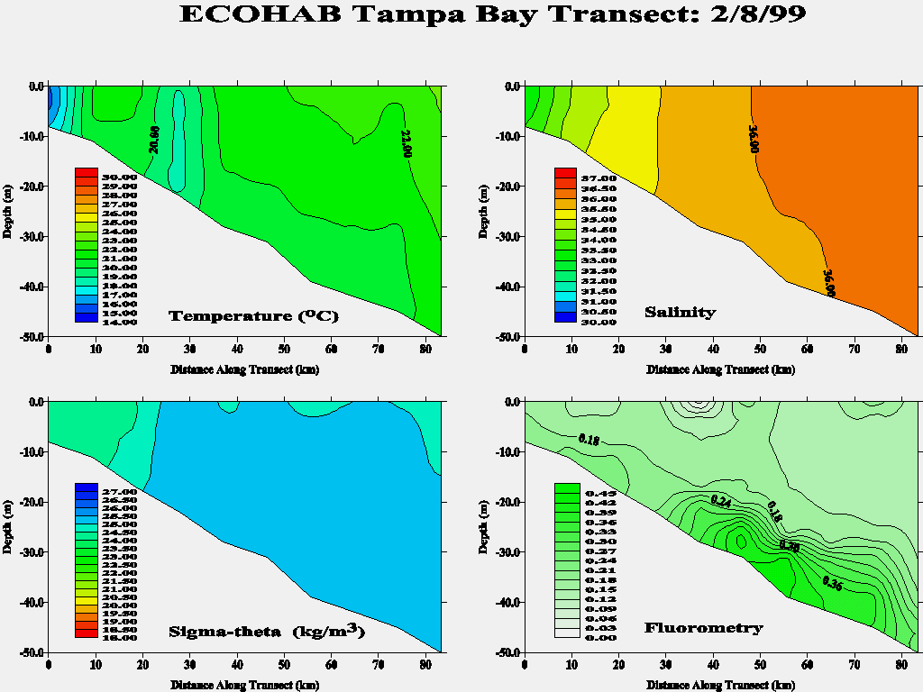 Tampa Transect