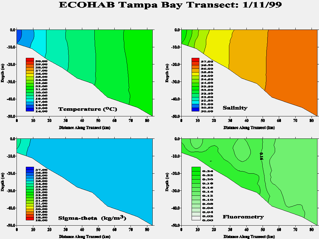 Tampa Transect