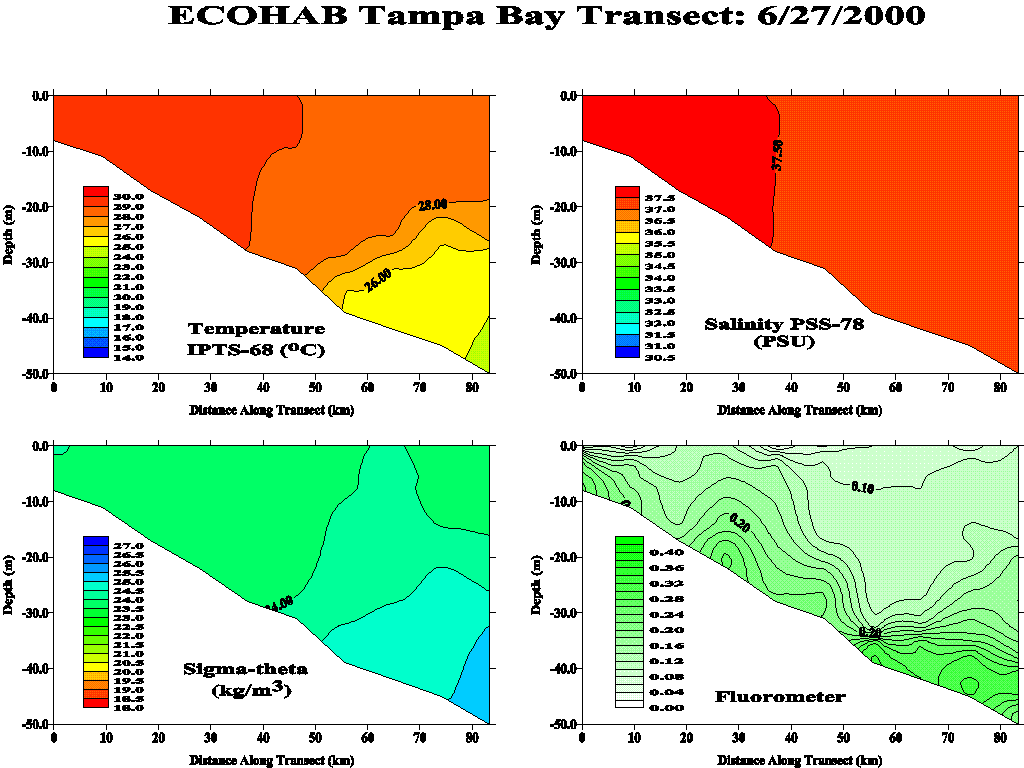 Tampa Transect