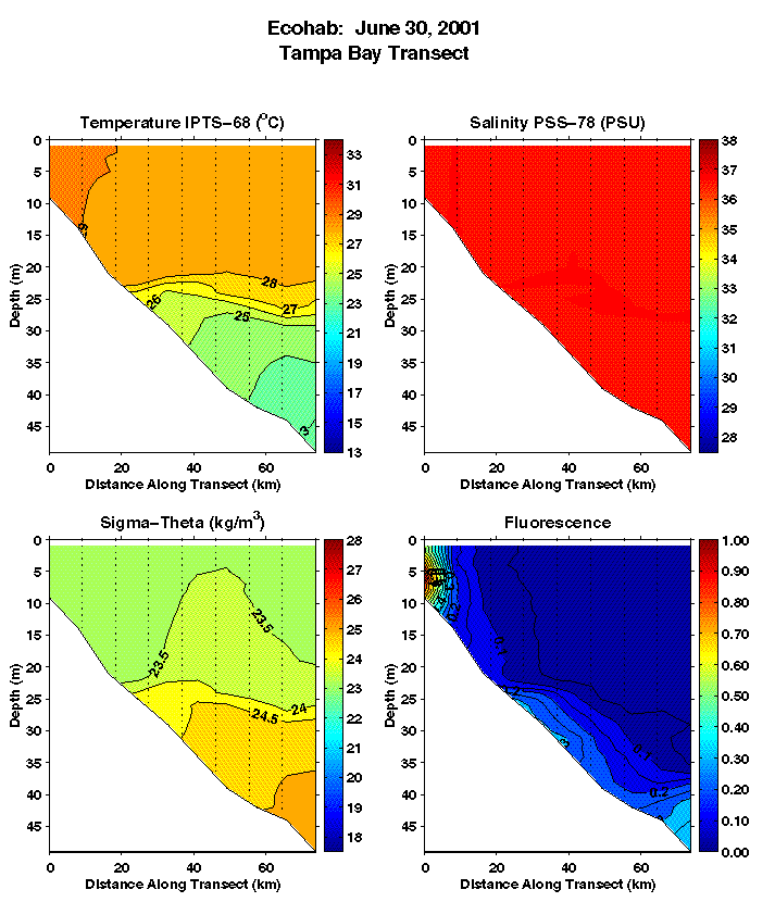 Tampa Transect