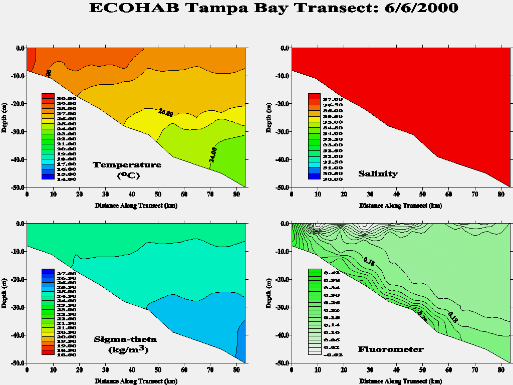 Tampa Transect