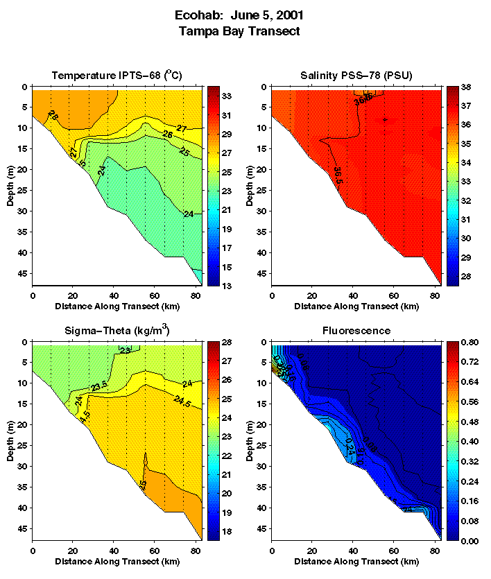 Tampa Transect