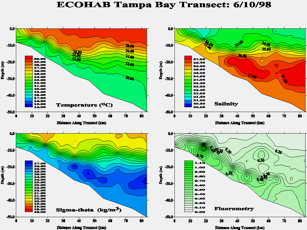 Tampa Transect