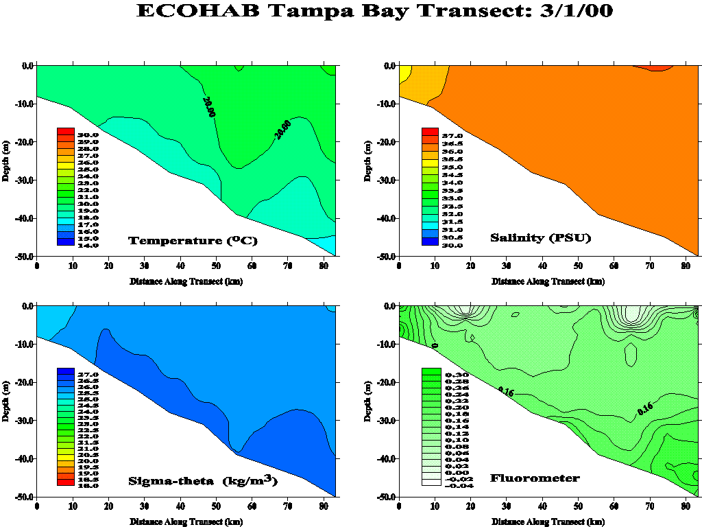 Tampa Transect