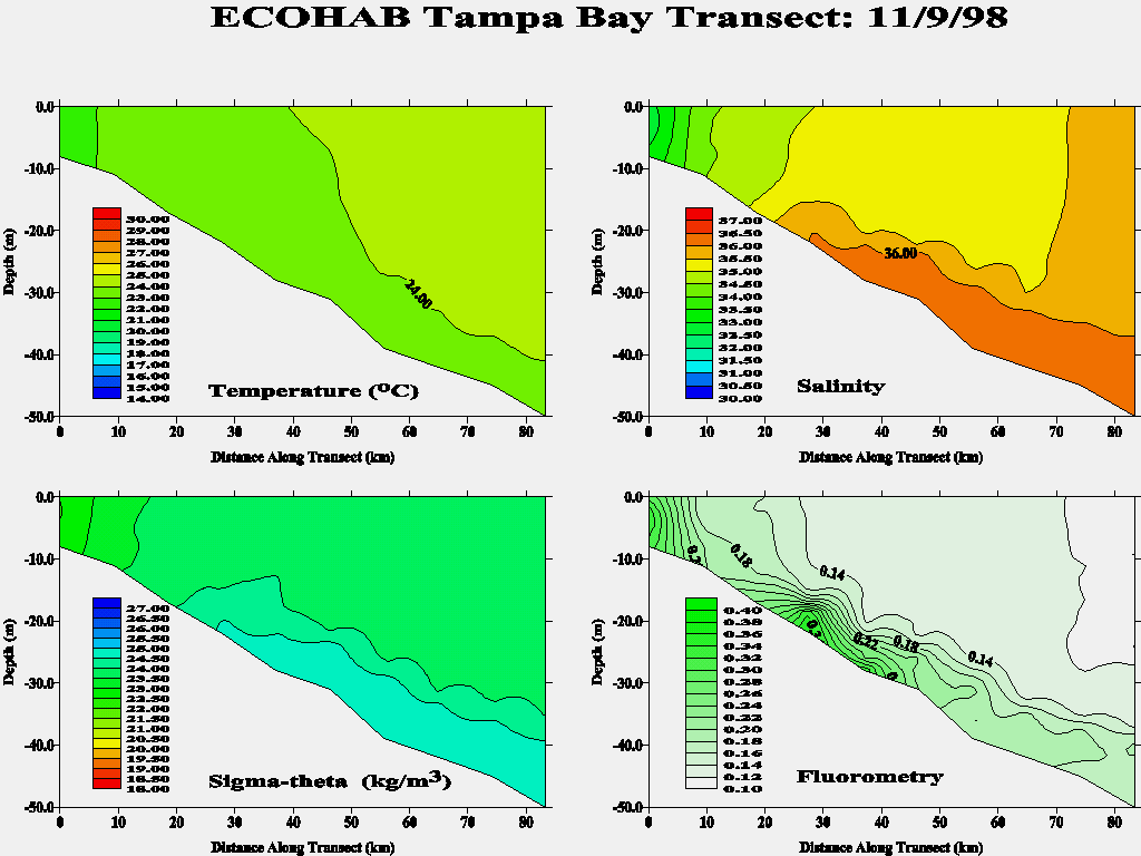 Tampa Transect