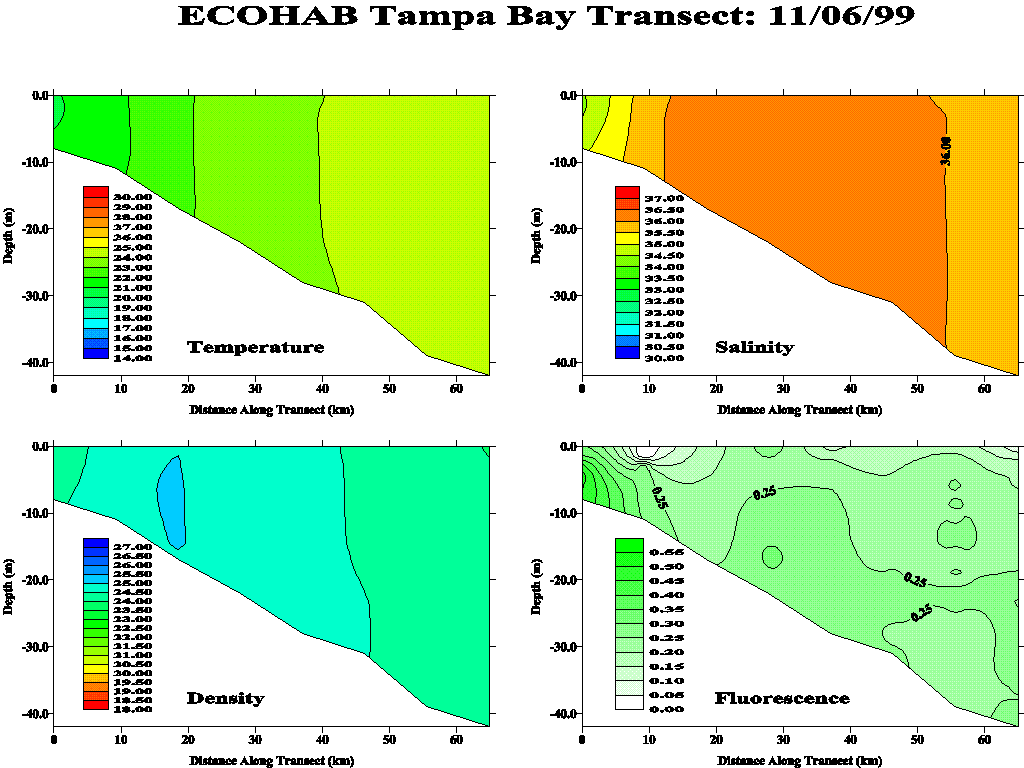 Tampa Transect