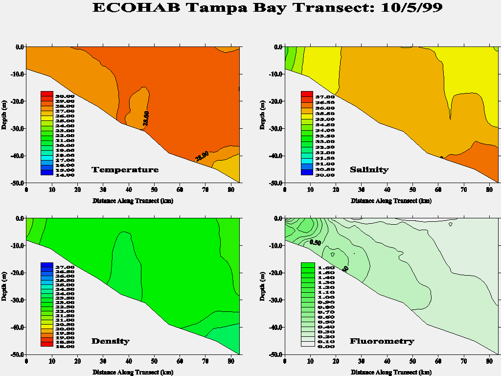 Tampa Transect