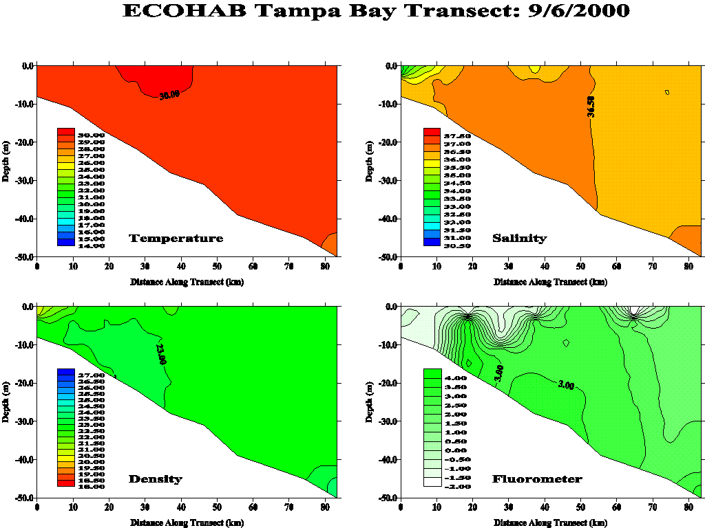 Tampa Transect