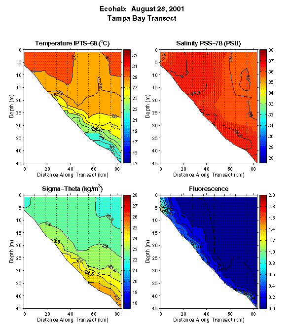 Tampa Transect