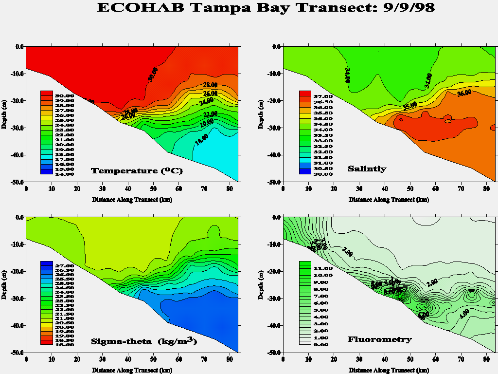 Tampa Transect