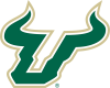 University of South Florida